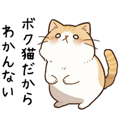 現実逃避したい猫たち