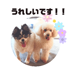 多分使える佐々木家のスタンプ