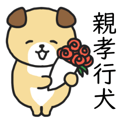 【家族との日常使い】親孝行犬