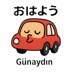 CarLove♡トルコ×にほん