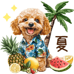 夏だよ！トイプードルの夏スタンプ