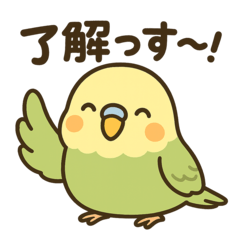 ゆる敬語インコ（敬語だけど砕けてる）