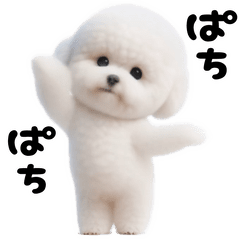 踊る！ビションフリーゼ