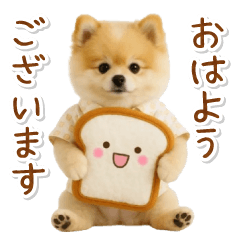 ⚡飛び出す！ポメラニアンの日常スタンプ