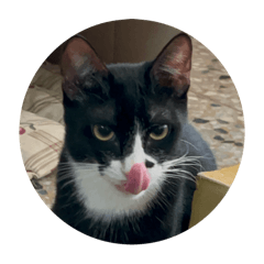 Wendy_20250928104120