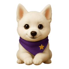 Cocoverse: ココの毎日