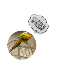 Becky_20251014205801