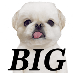 ムーチョの世界 BIGスタンプ