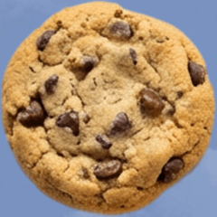 クッキー　実写