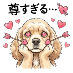 愛されアメリカンコッカー　毎日使える