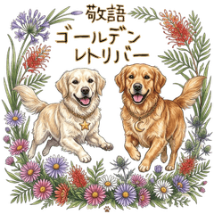 大人かわいいゴールデンの丁寧ことば