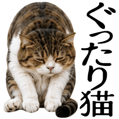 もう無理…疲れきったぐったり猫【BIG】