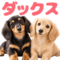 とびだす★ミニチュア ダックス フンド/犬