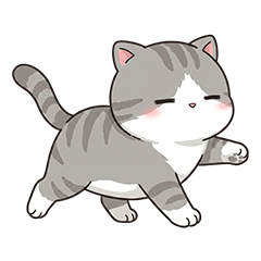 太ったサバトラ猫ちゃん毎日使える