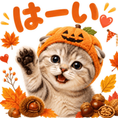 飛び出す♡秋にゃんこ