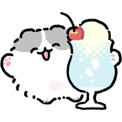 ポメトーンカフェ巡り