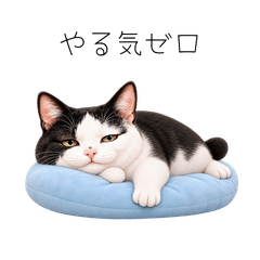 会社猫ふく×やる気0