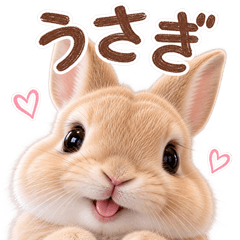 とびだす★うさぎ♡カフェ♡兎