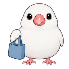 介護の予定 白文鳥の連絡