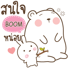 BOOM Little Rabbit bully Bear e