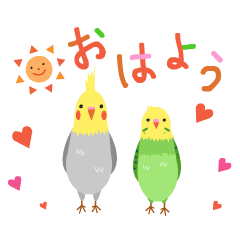 インコの動くご挨拶