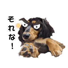 カニヘンダックス～キメ顔 日常会話編～