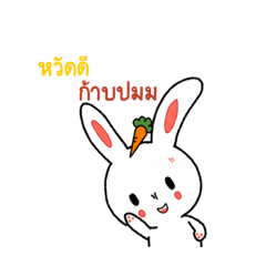 The round head bunny