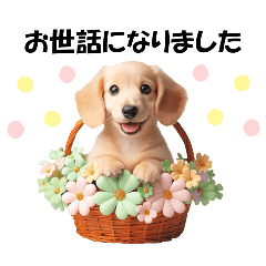 かわいいダックスの犬スタンプ