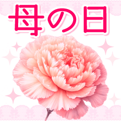 花びらが舞う！母の日美しいカーネーション