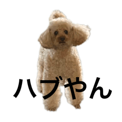 ももちゃんスタンプ 4弾