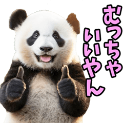 三重弁☆パンダ