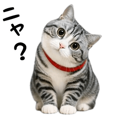 動く！リアル猫の日常3