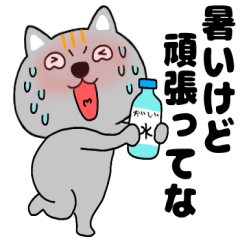 【夏】ネコ三兄弟二郎29