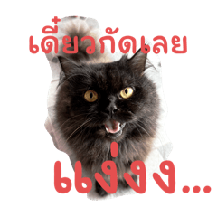 I am alone_20250727113113