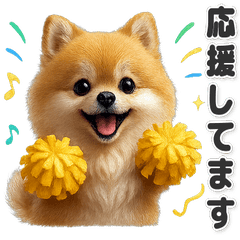 【敬語】使いやすい！ポメラニアン