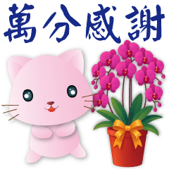 Pink Cat - Practical Greetings Every Day