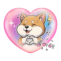 キュートなmameshiba1