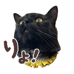 ひじきすたんぷ2