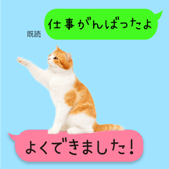 スコテッシュフォールドの吹き出しスタンプ