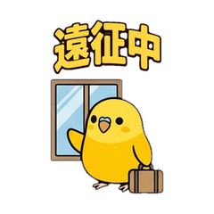 【限界オタク】インコ 現場遠征