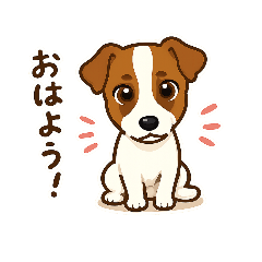 ジャックラッセルテリアのおもち