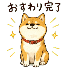 おすわり上手な犬