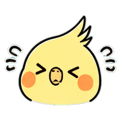 Lutino Cockatiel Life: Professional Bird