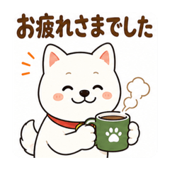 白シバ