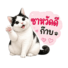 Catcowfat