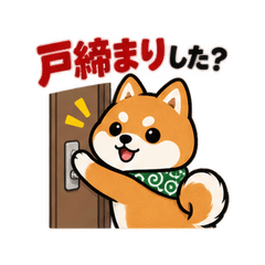 Shiba Home Security