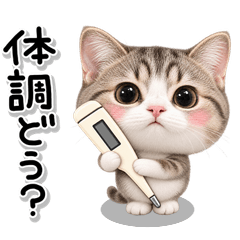ず～っと使える♡かわいい猫の優しい気遣い