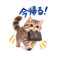 仲良し猫夫婦の日常スタンプ