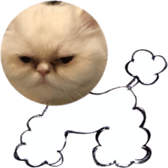 Miko Catty imitates animals1