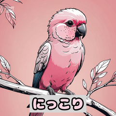 モモイロインコのきもち